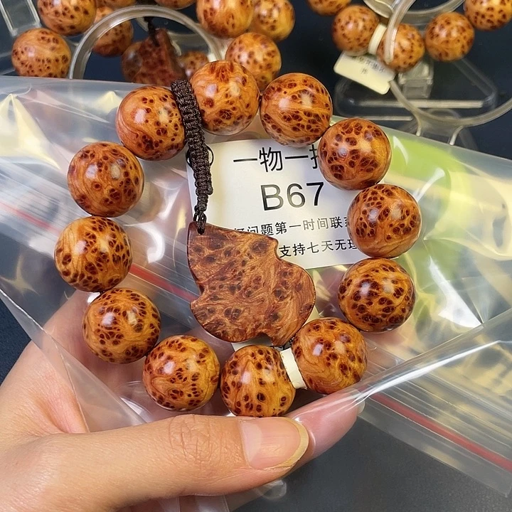 柏木（崖柏）其他海*67