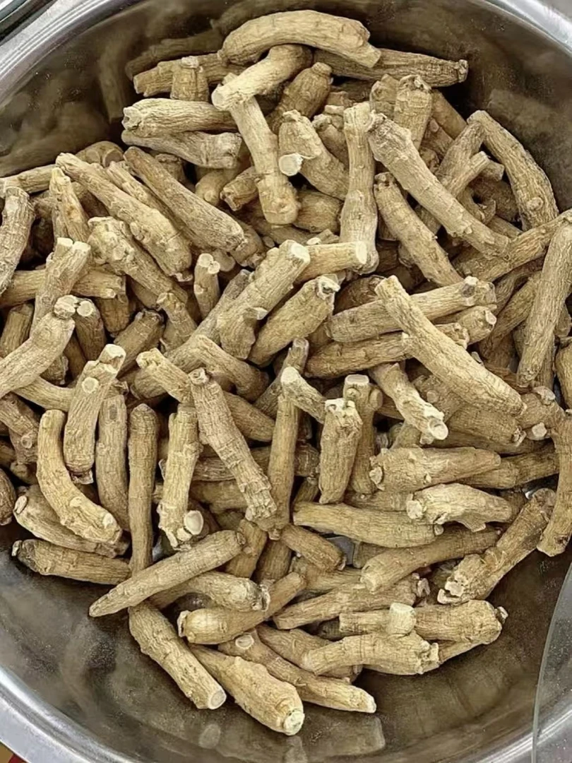 东哥--西-洋-参 云南好物土特产