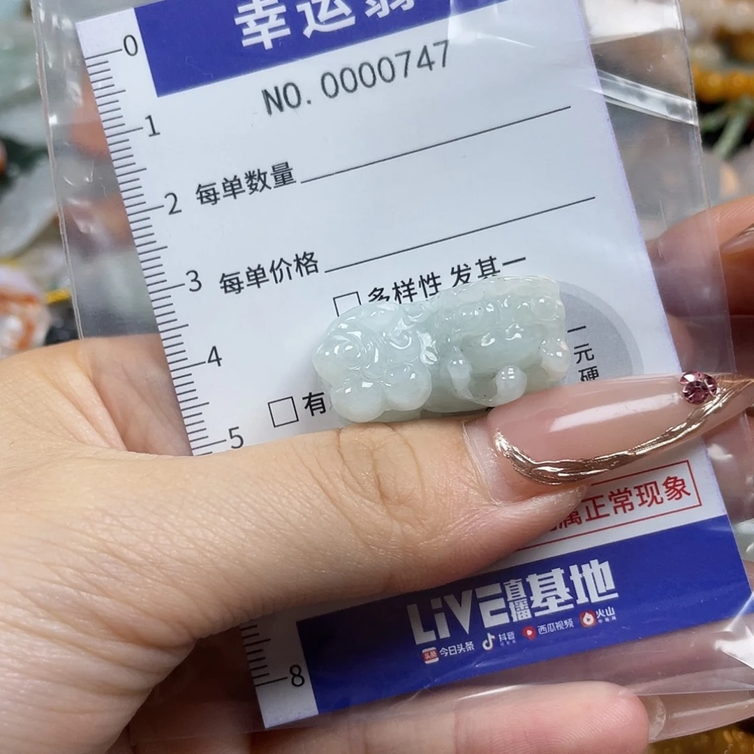 翡翠未镶嵌颈饰Hhh