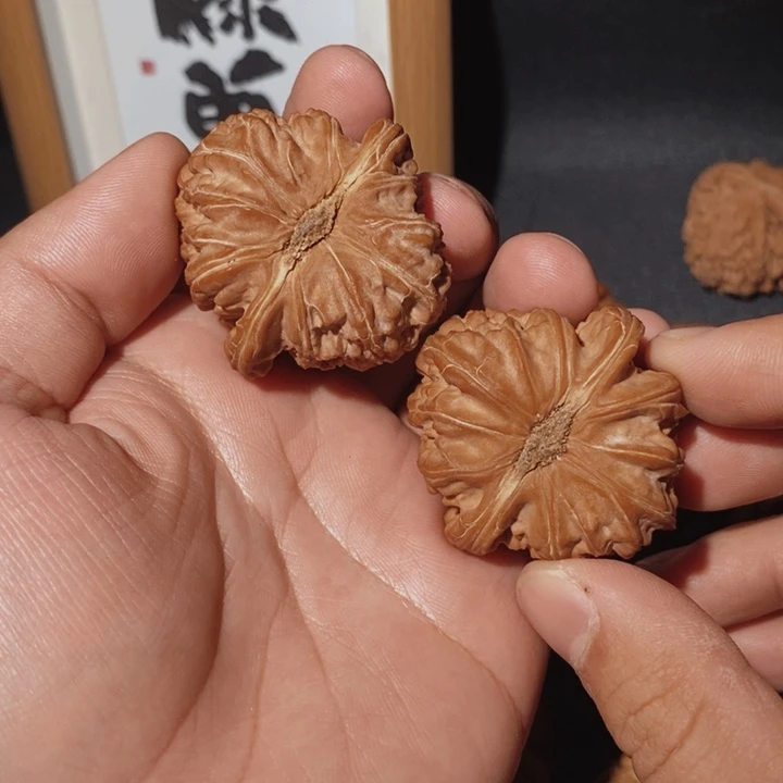 ～***月文玩核桃把件42白狮子