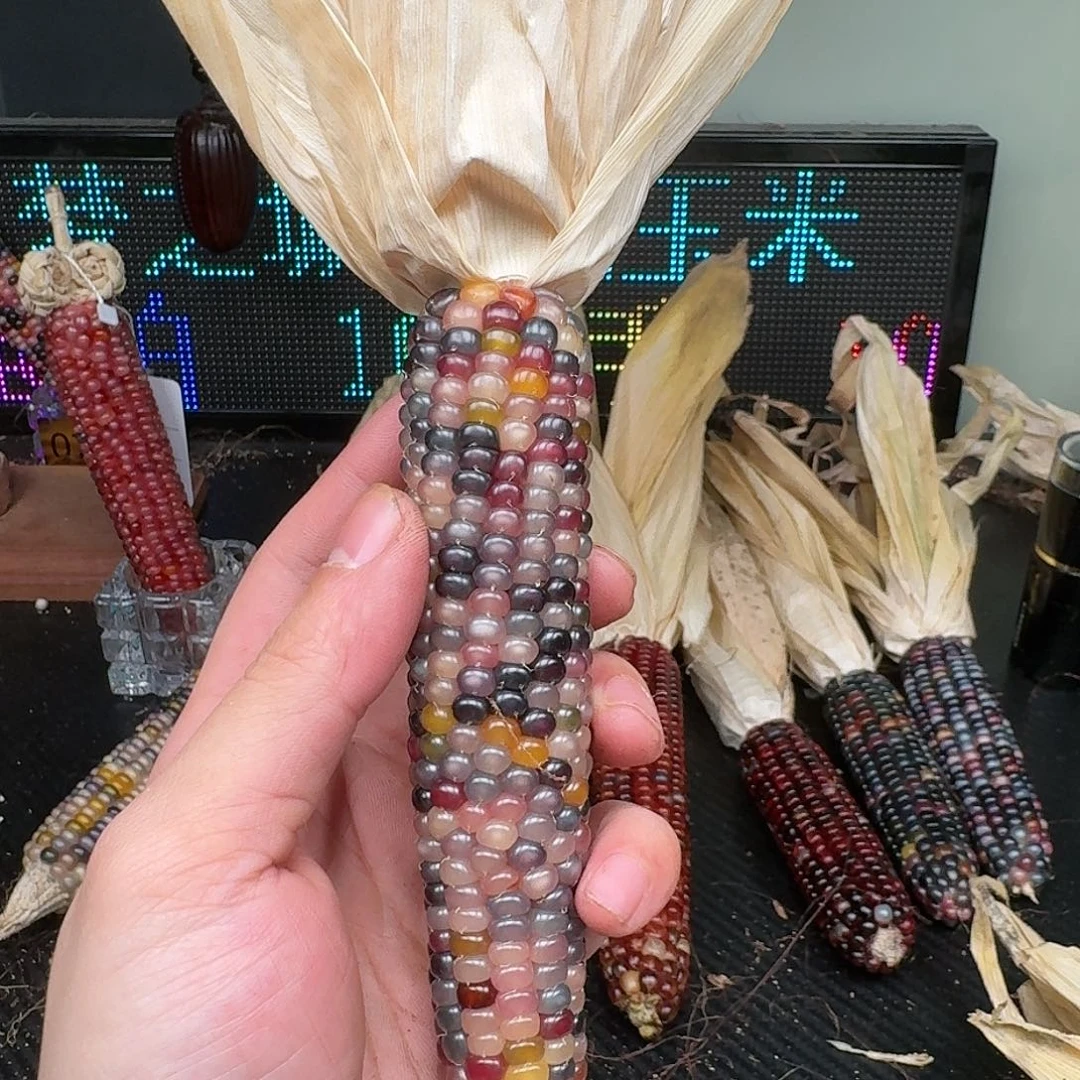 柏香籽/百香籽吊坠A****⁹