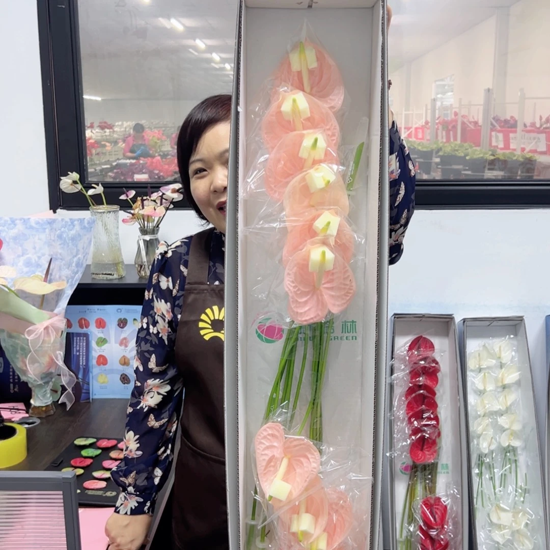 完全开放干杯-12枝装微瑕无售后款！