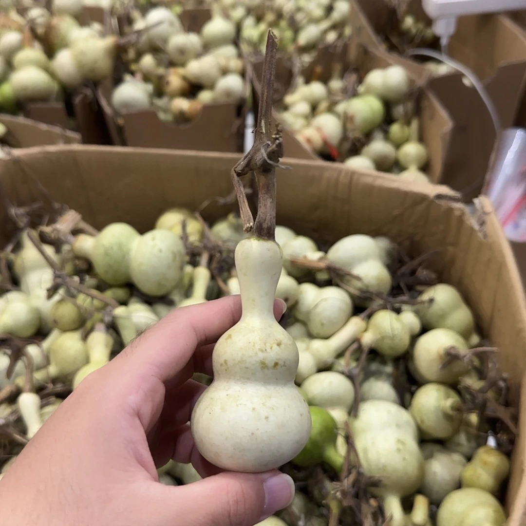 用***7青皮不包成 提前看好