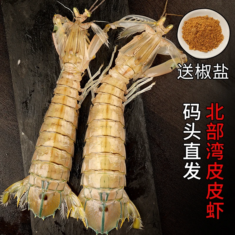 皮皮虾超大鲜活帮蒸熟发货新鲜爬爬虾濑尿虾