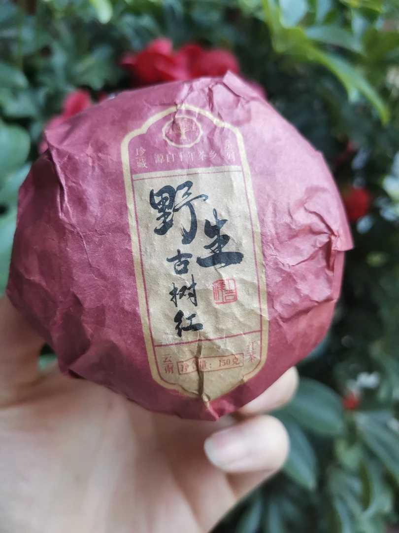 云南2024年高山野生红沱