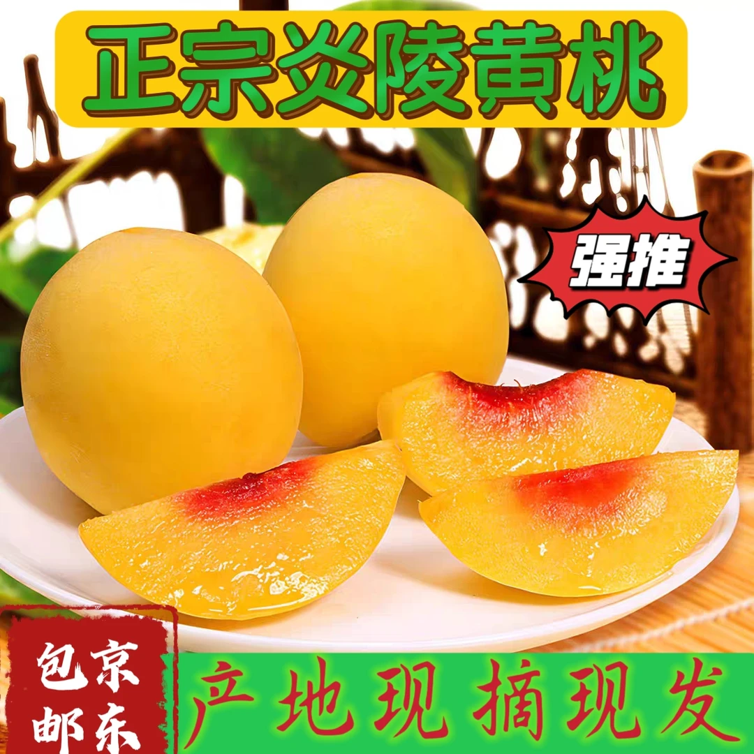 正宗炎陵高山黄桃现摘现发5斤/10斤礼盒装
