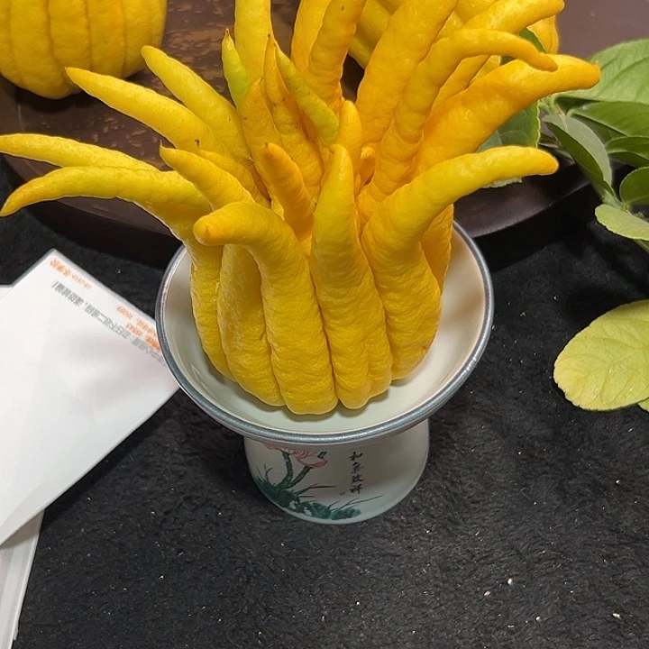 瑶***～完全开放九九九九佛手