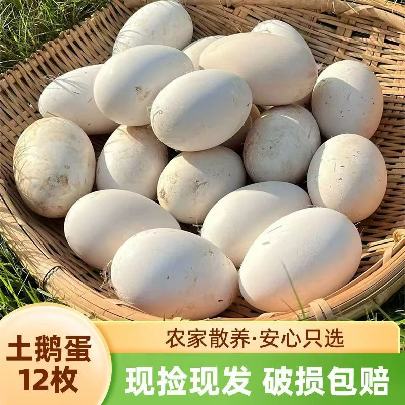 现捡现发【12枚】新鲜散养鹅蛋农家土鹅蛋单枚120g左右整箱包邮