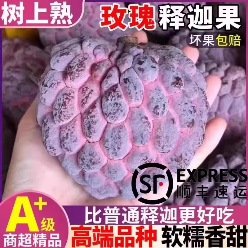 【顺丰空运】玫瑰红牛奶释迦果新鲜水果佛头凤梨新鲜当季热带甜果