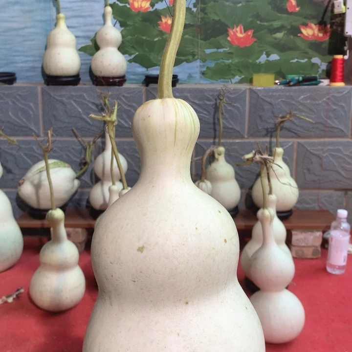 ᰔ****中号尺寸的尺寸大小尺寸