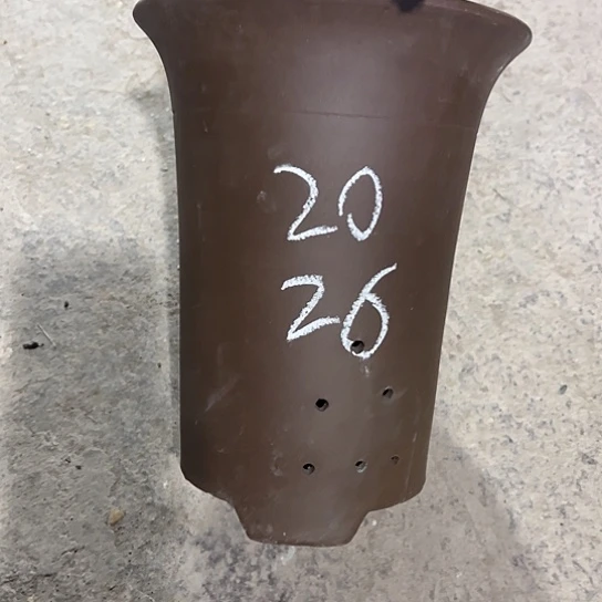 紫砂工艺厂……紫砂工艺厂……