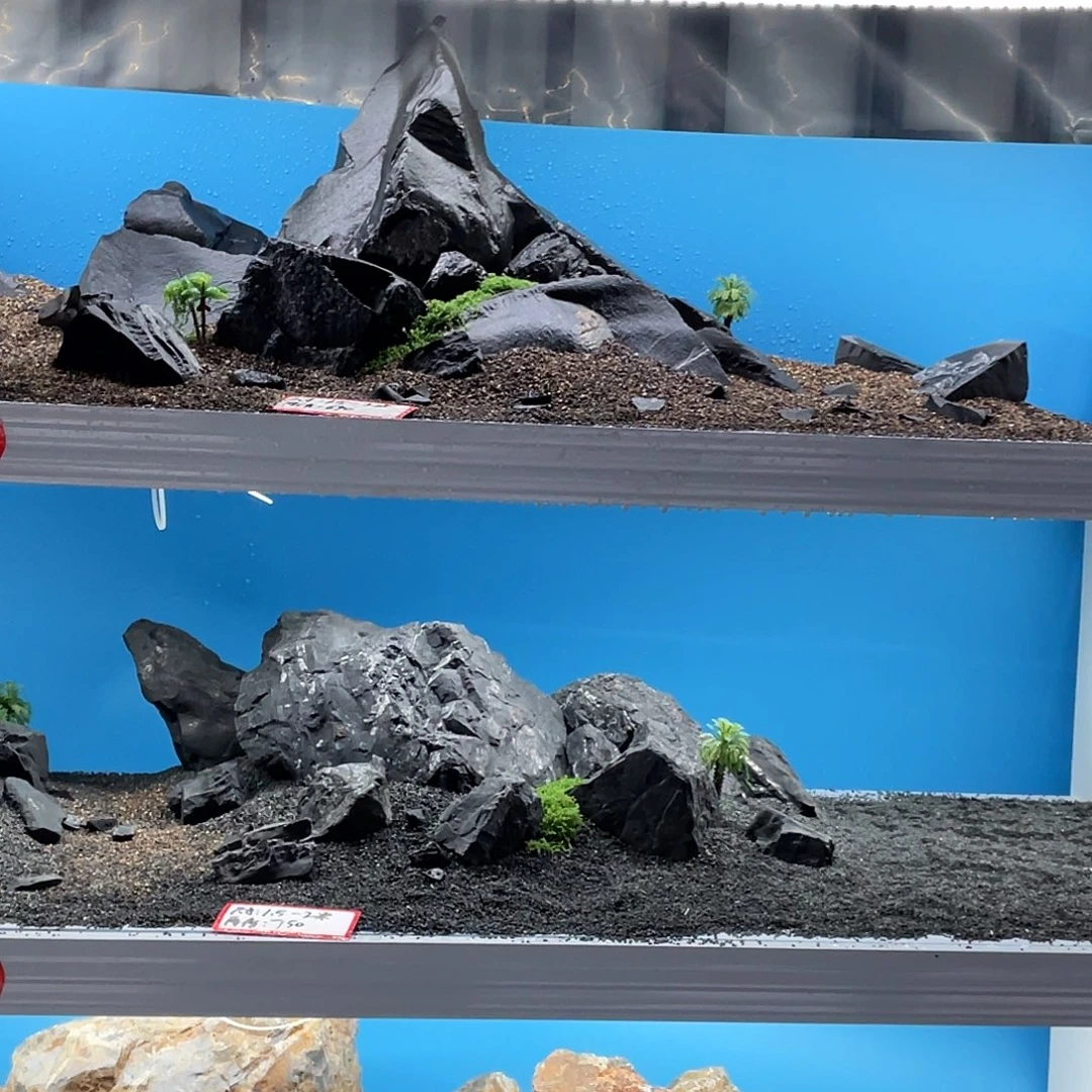 黑金石造景天天有