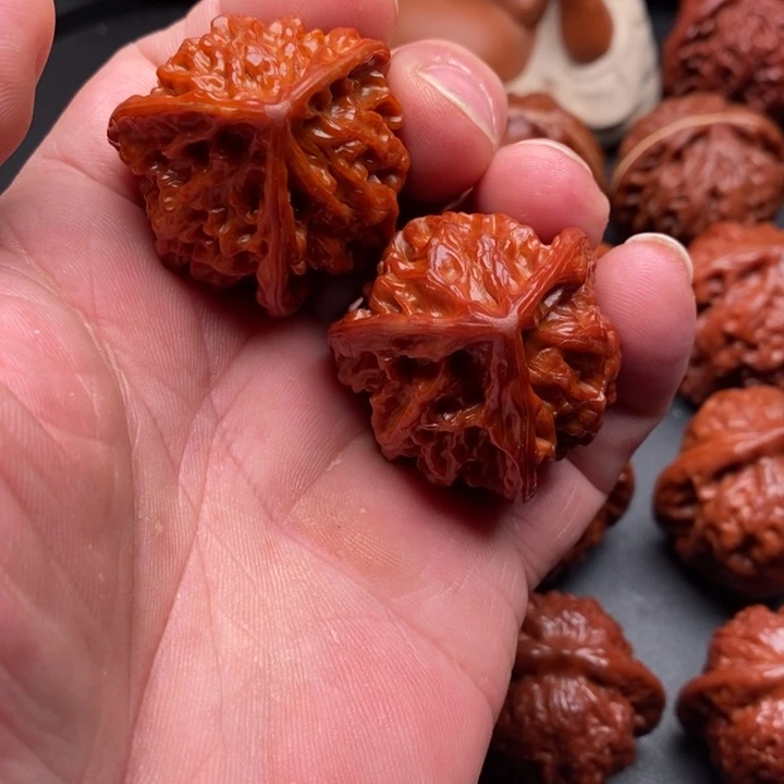 核桃三棱核桃123