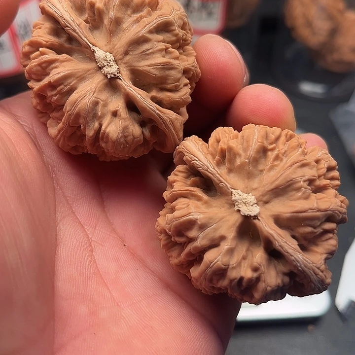 闲****文玩核桃把件粗筋50