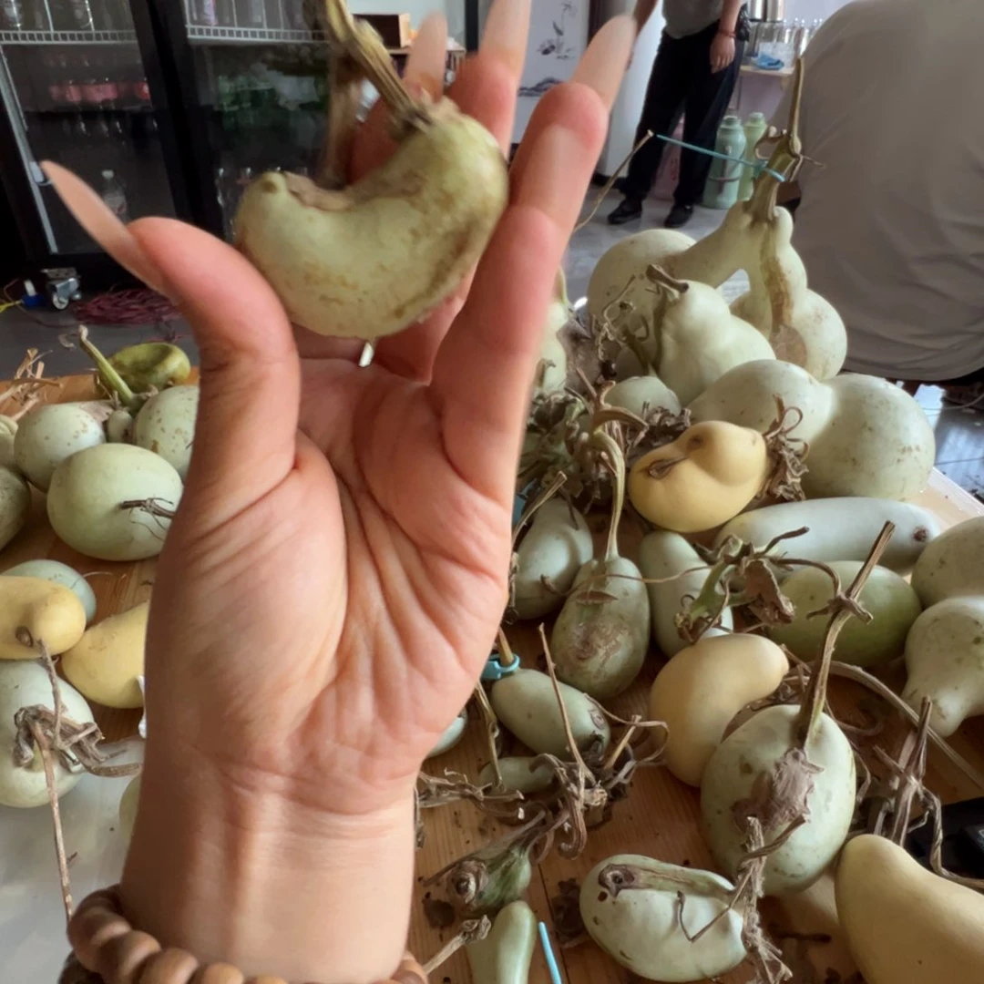 香***拉懂了吗我的天啊我的天我的天我