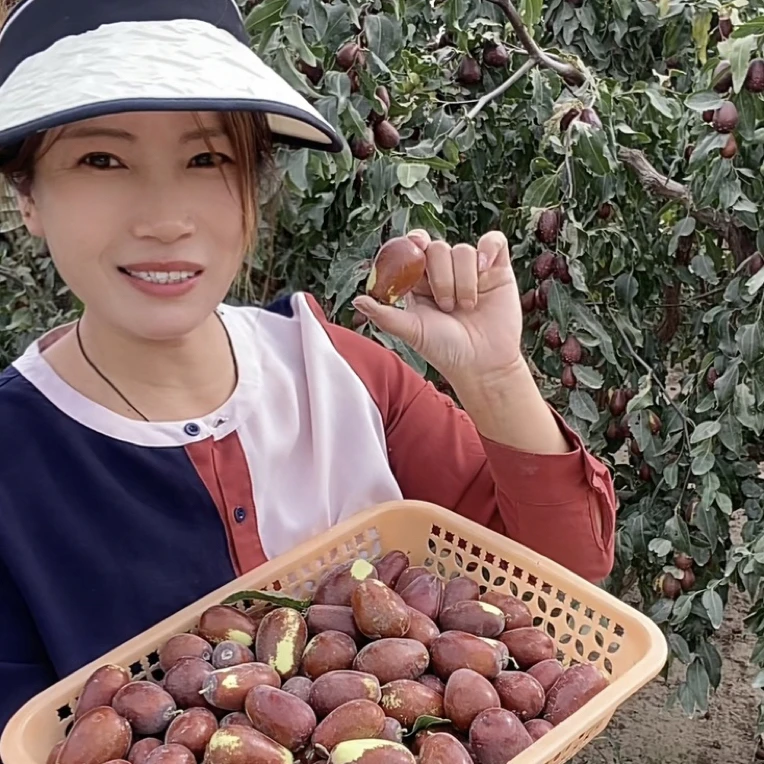 新疆和田大枣鲜枣新疆大枣新鲜红枣，适合｛蒸煮吃｝5斤包邮航空发货