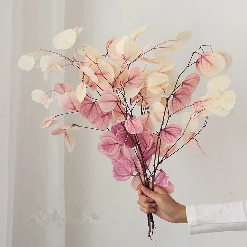 白色苹果叶永生花配花干花高级感真花尤加利叶风干天然树叶家居