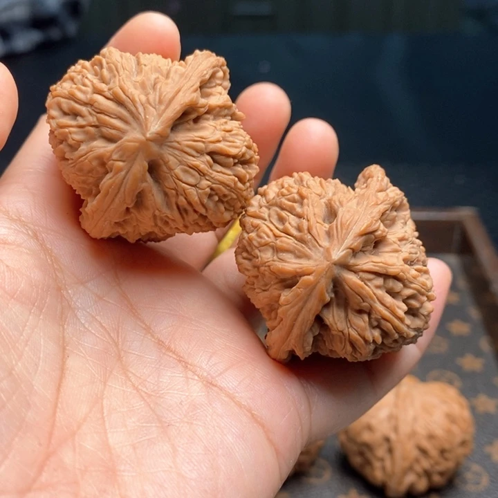 文玩核桃把件涿鹿拉丝蚂蚁41尺