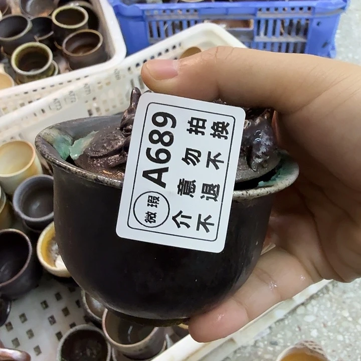 瓶柴烧新品福利多多