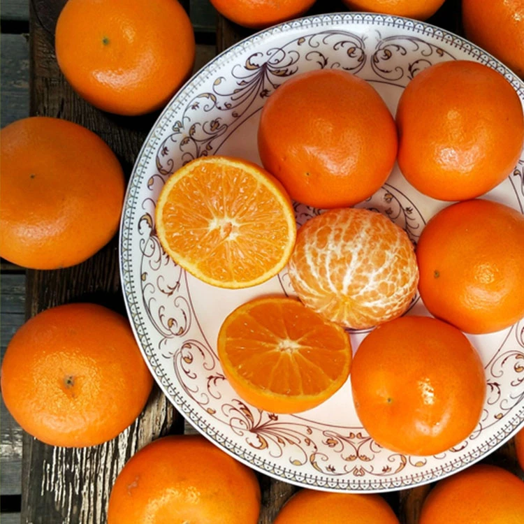 浙江临海涌泉蜜桔新鲜现摘应季水果香甜多汁无籽3-10斤装