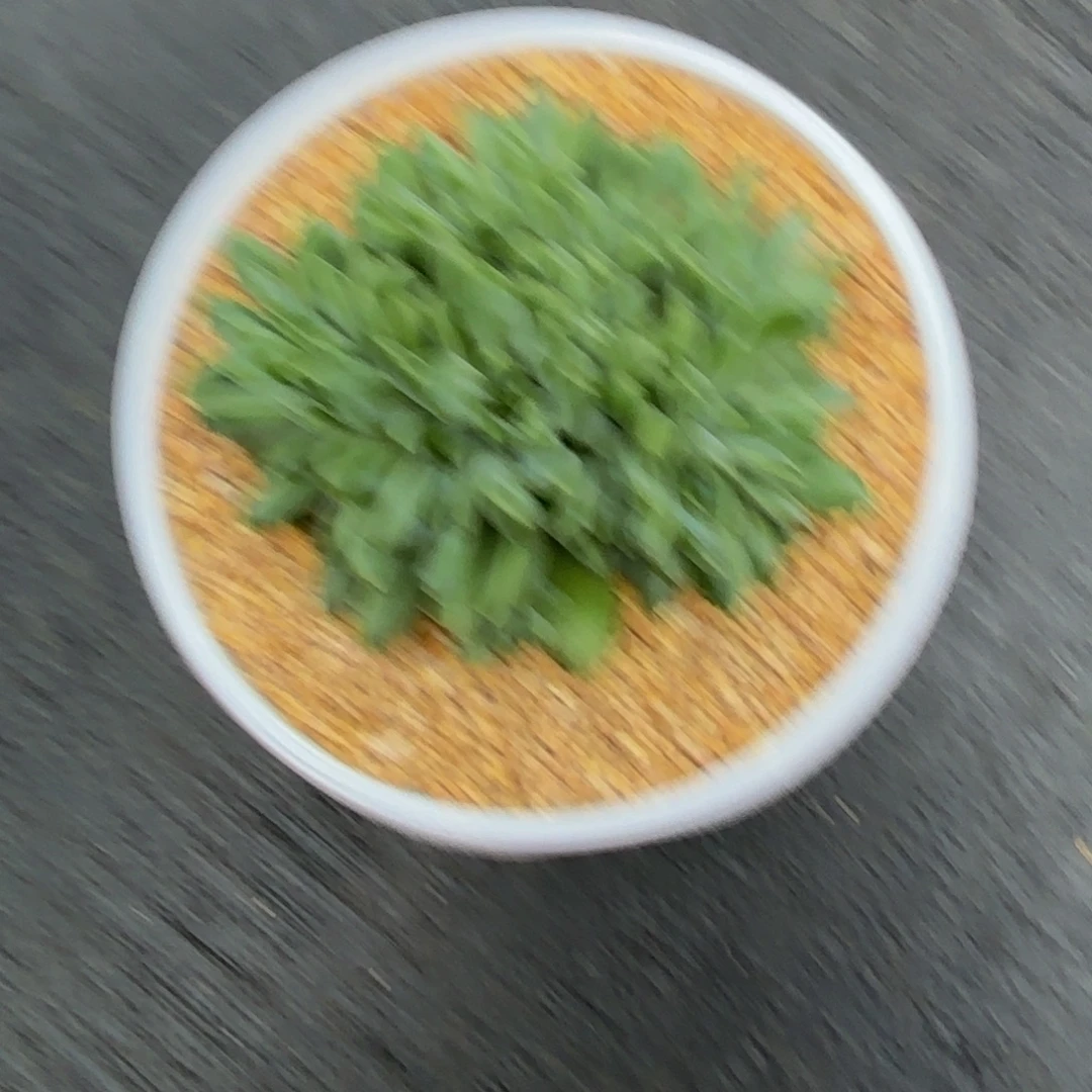 艾***肉雨花石多肉植物发货