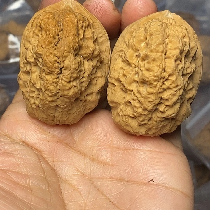 文玩核桃把件云南铁核桃80