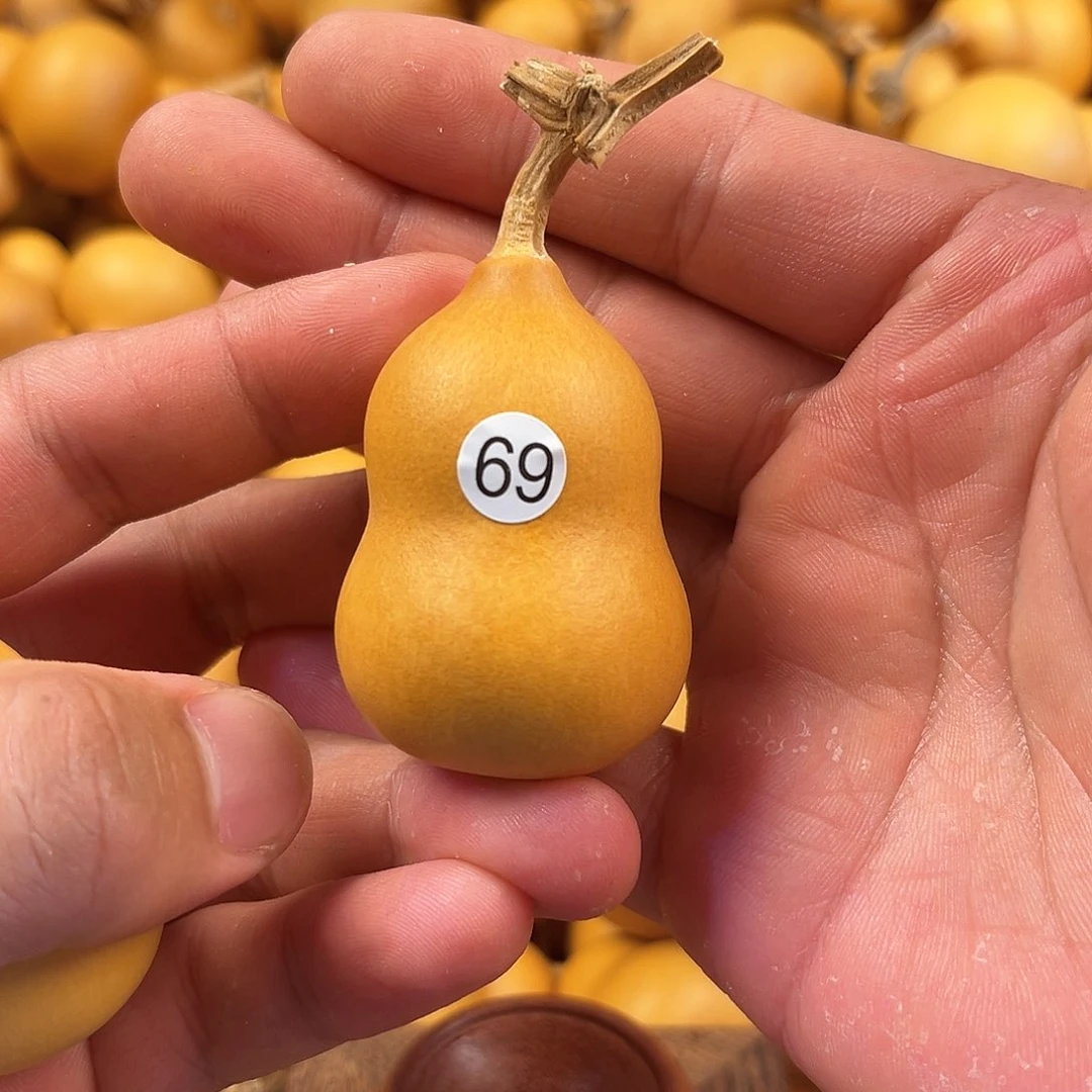 四葫芦葫芦葫芦葫芦69
