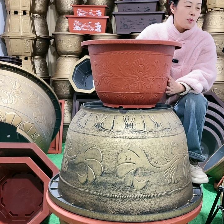 圆盆红色五零四个