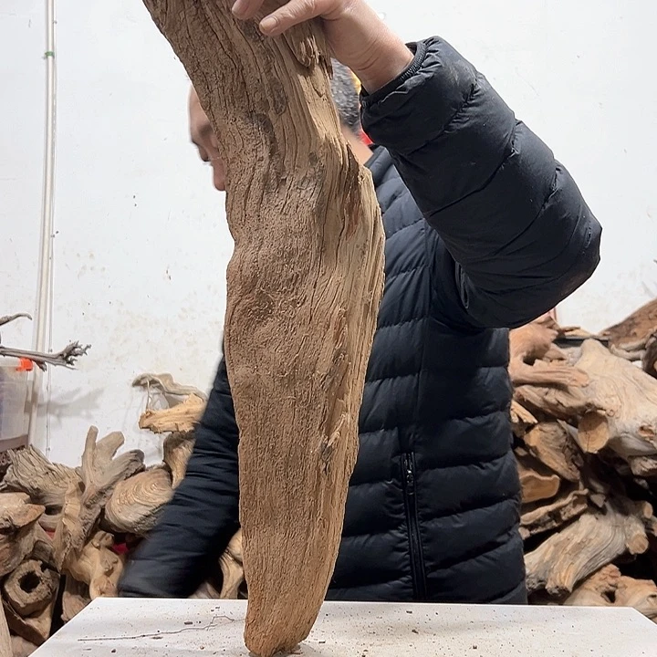 柏木同*我们都是好孩子呀我也