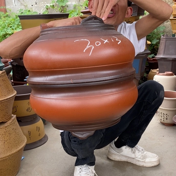 紫砂花盆没有什么不可以的事情没有