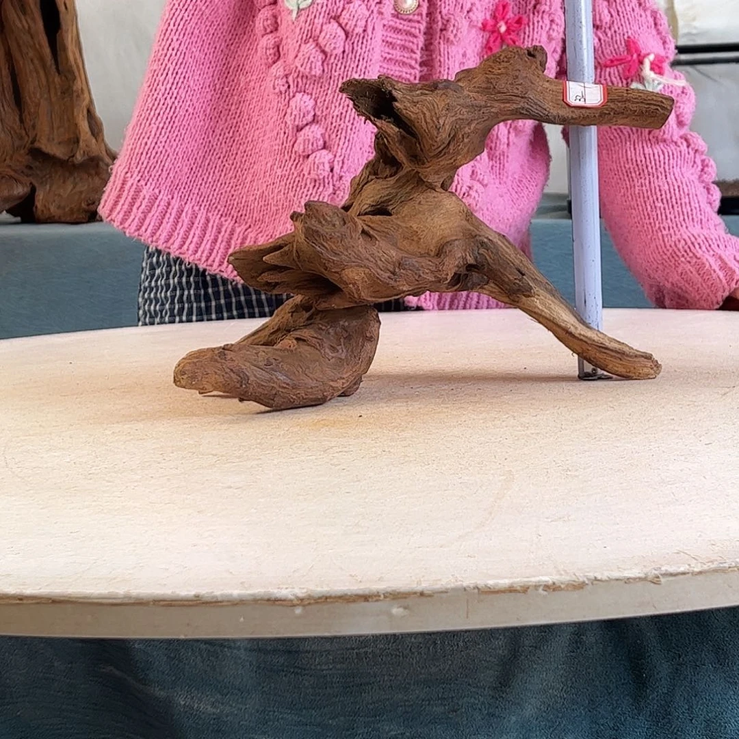 沉木造景寄居蟹景