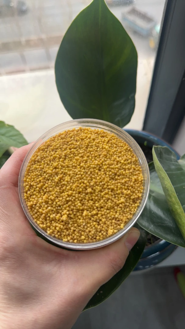 营业高钙蛋小米，繁殖期，换毛期必备单品