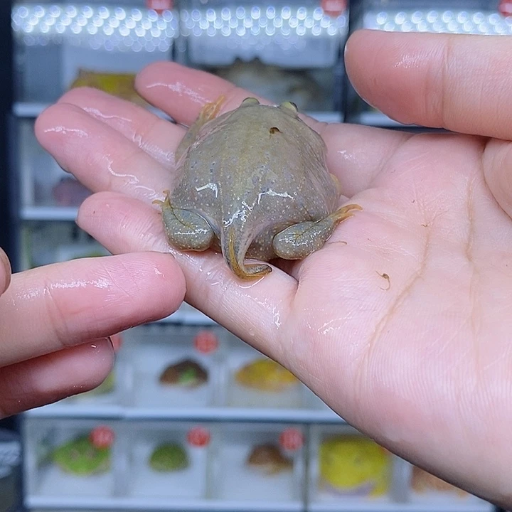 特价秒杀现货特价