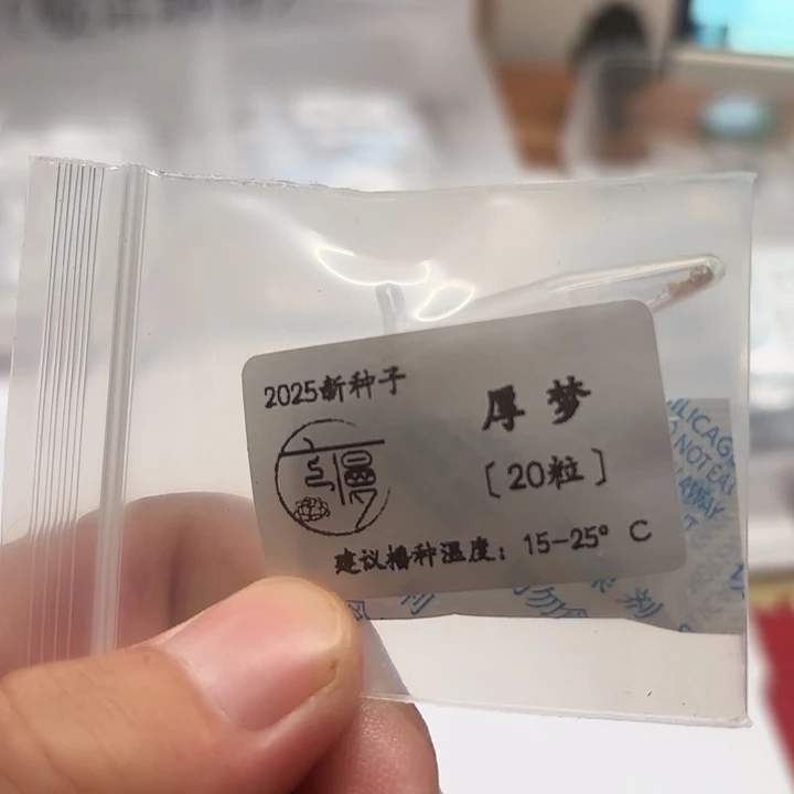 如图2025新种子糖心系厚梦20粒