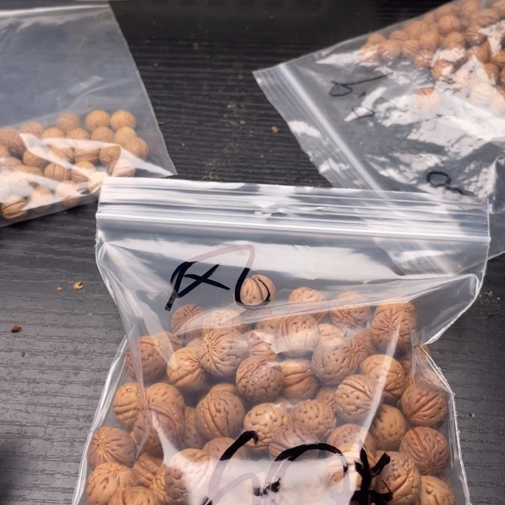 【闪购商品】核桃其他风*