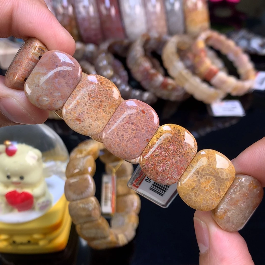 【闪购商品】颈饰未镶嵌硅化珊瑚（珊瑚玉）17号彩蕾丝