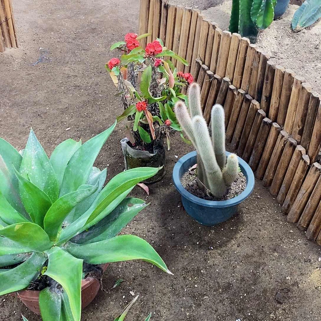 熙**攘0000000000000000