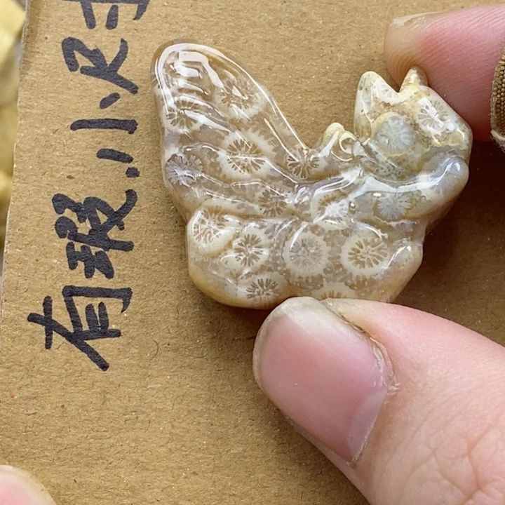 颈饰未镶嵌硅化珊瑚（珊瑚玉）