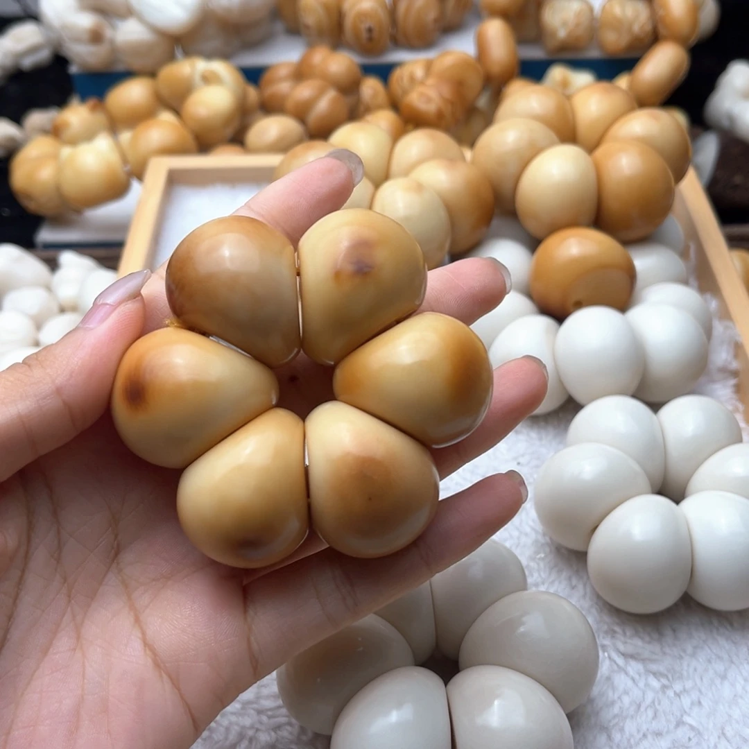 請***胖吊坠菩提根/象牙果