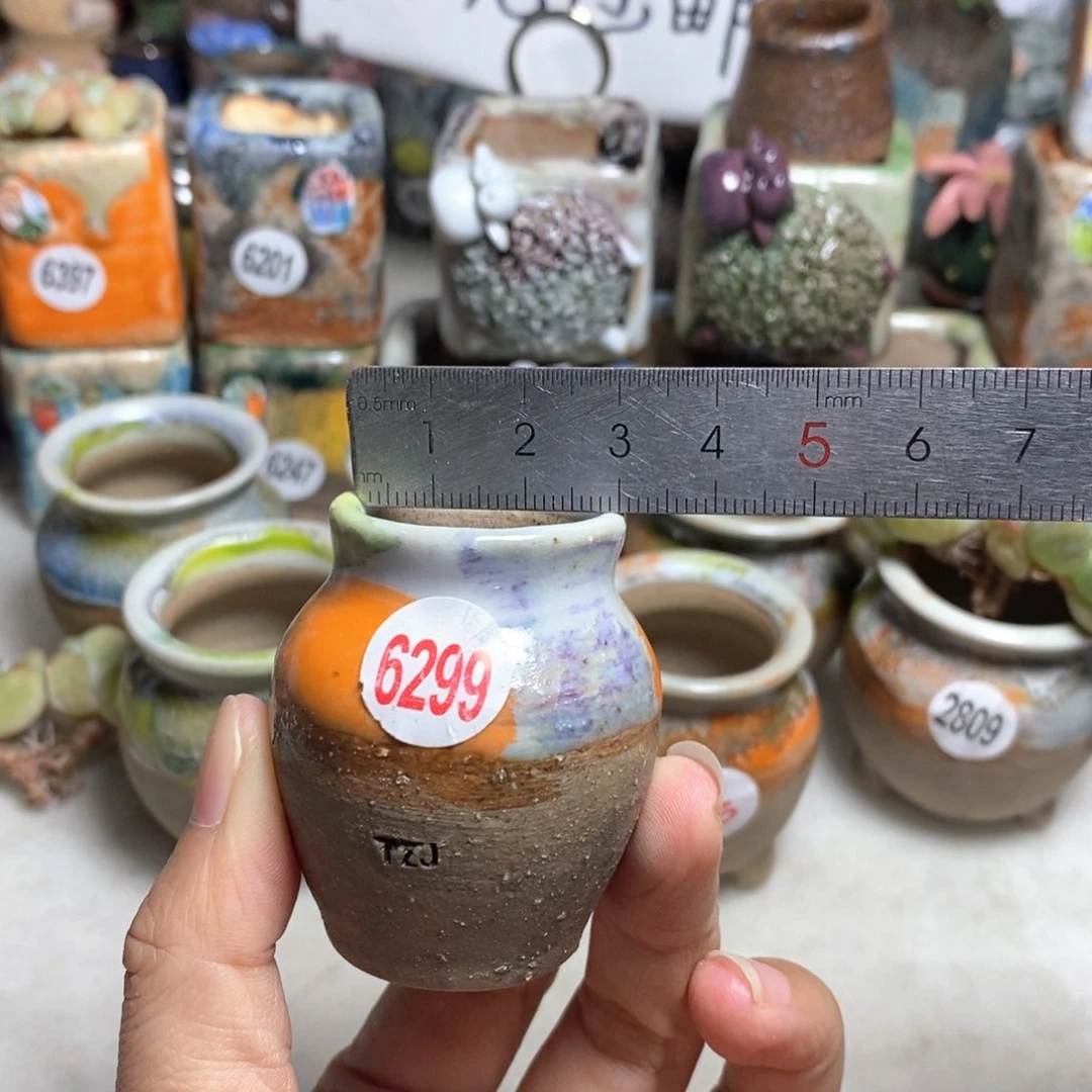 拍5送一个小礼物