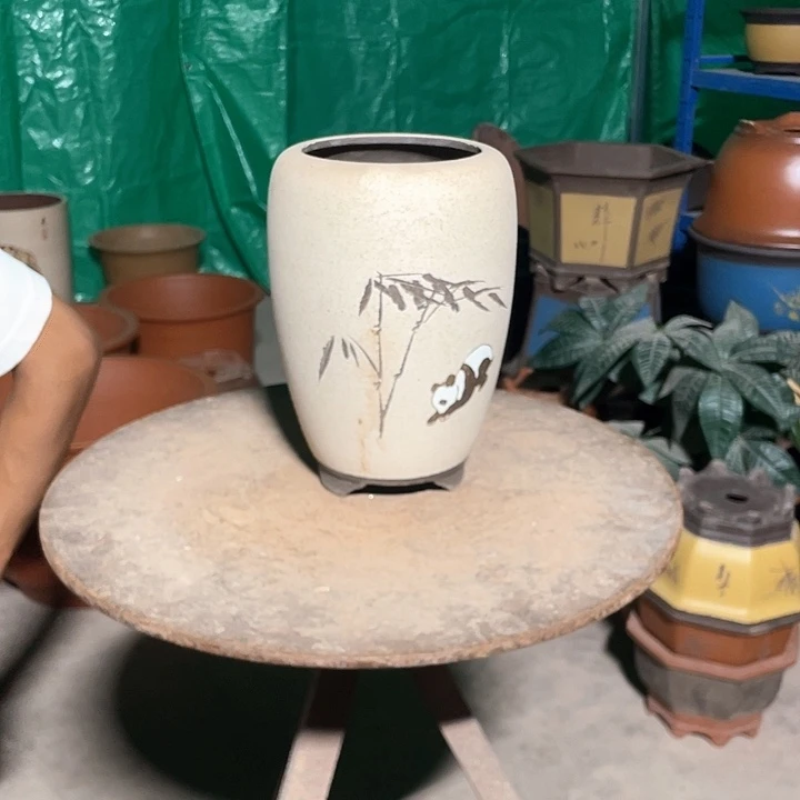 龙蛋白小花盆花盆