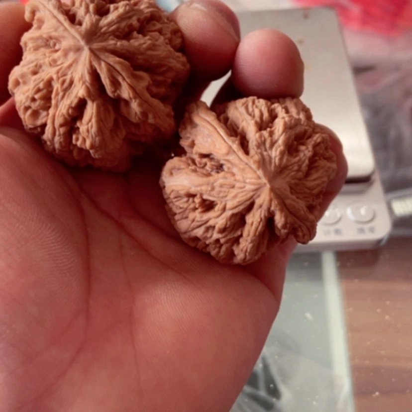 【闪购商品】沧*43全品无修大粗筋
