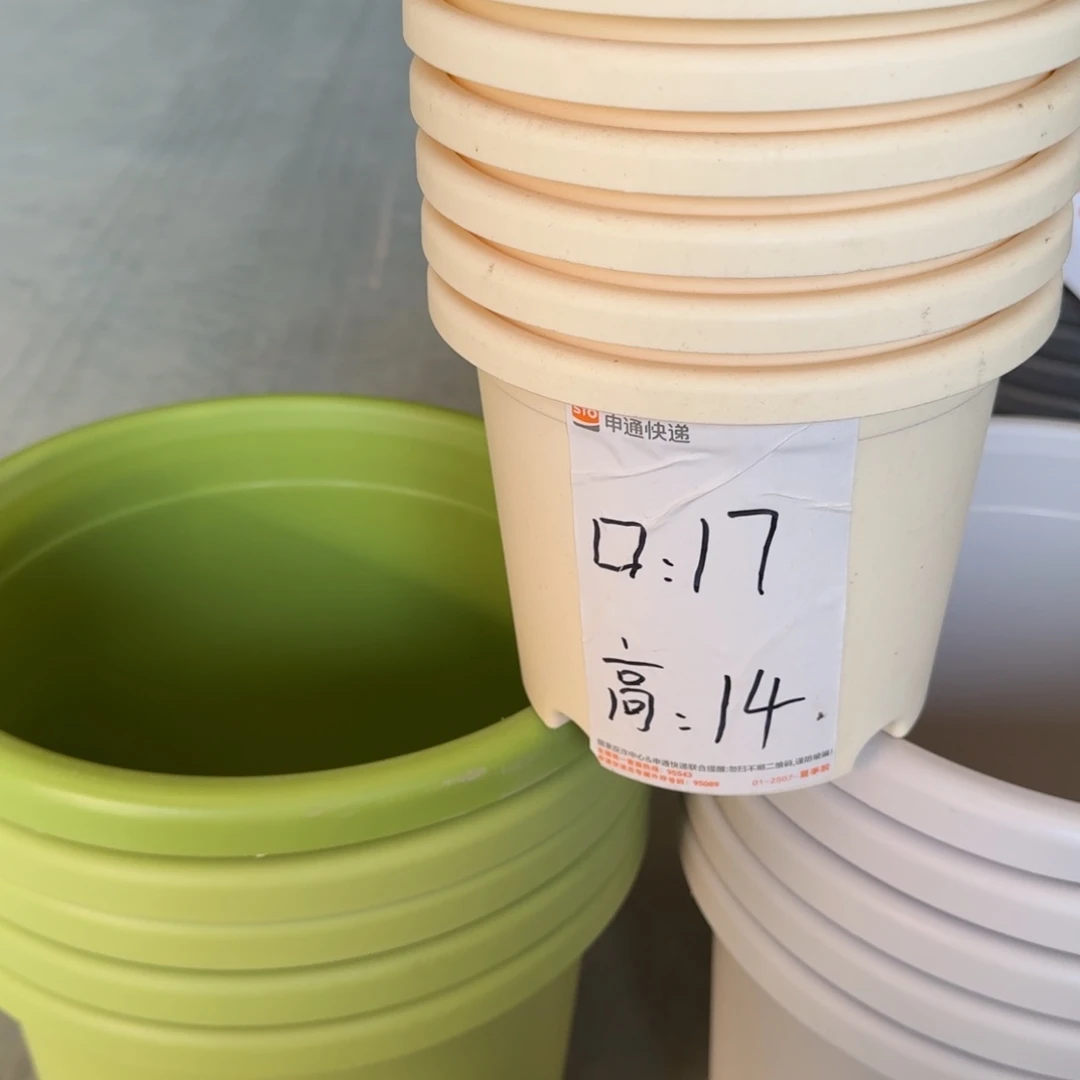 微瑕2#口径17无拖米黄6个