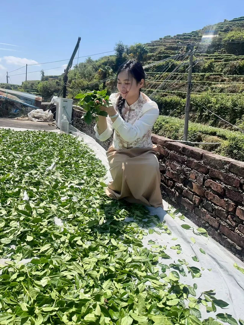 2025秋茶新茶兰花香铁观音