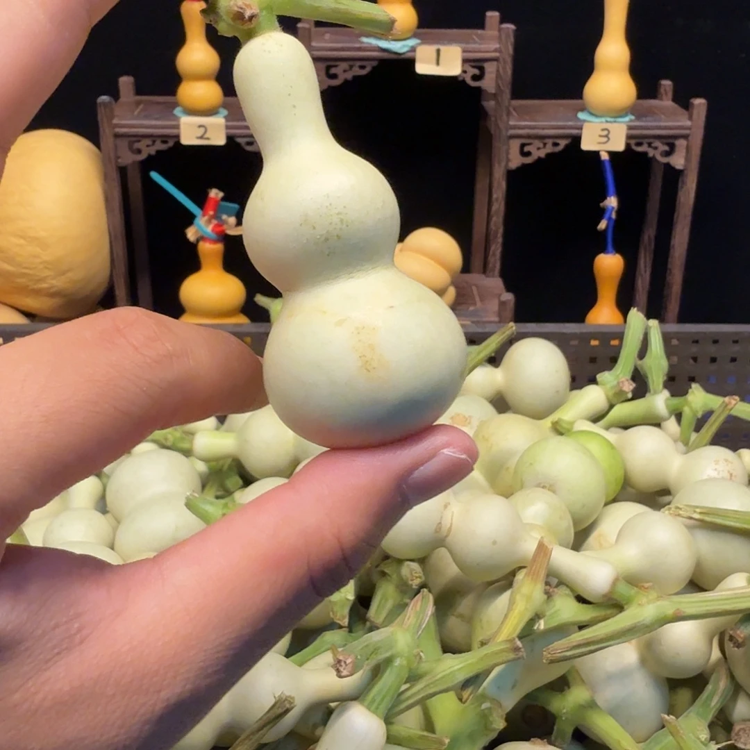꧁***꧂哈哈哈哈哈哈哈哈哈哈