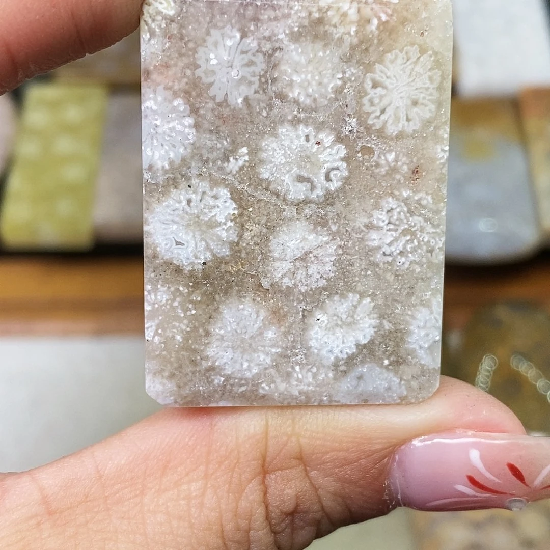 硅化玉颈饰合金用***洋