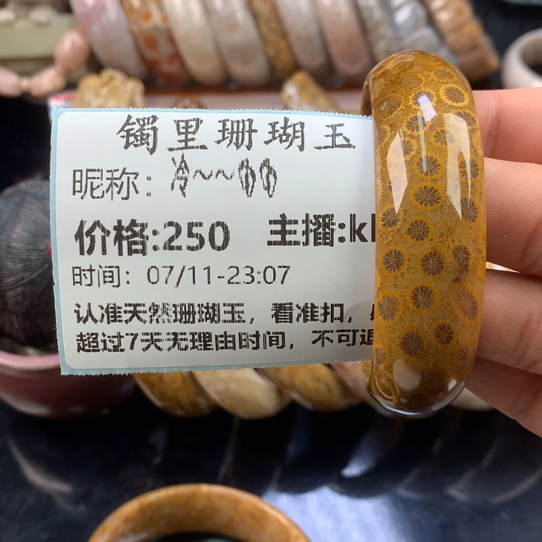 【闪购商品】硅化珊瑚（珊瑚玉）未镶嵌颈饰冷***?