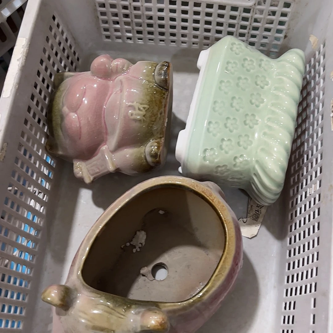 【闪购商品】红陶13211