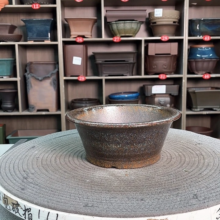 紫砂花盆A*涛紫砂的花也太美