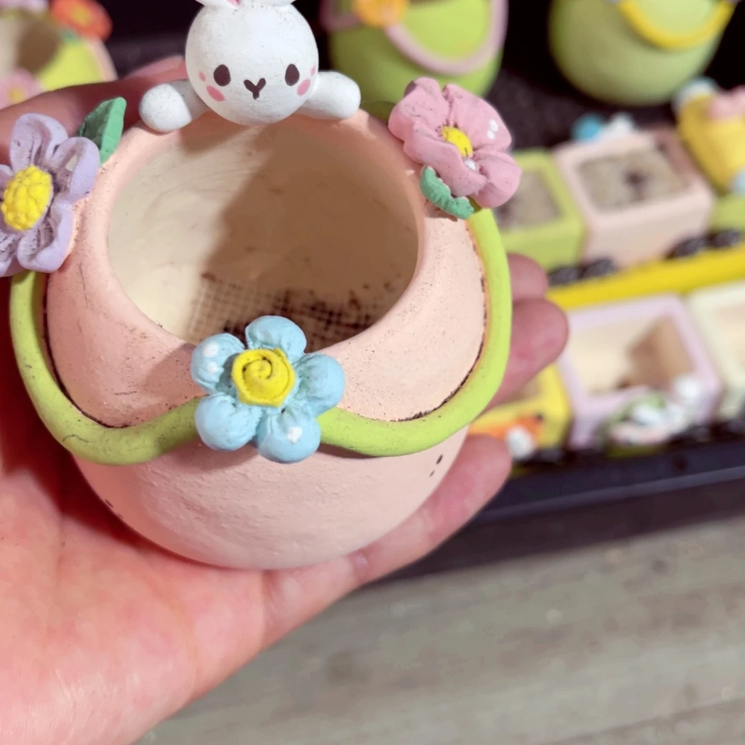 x**i86号带盆包邮发货